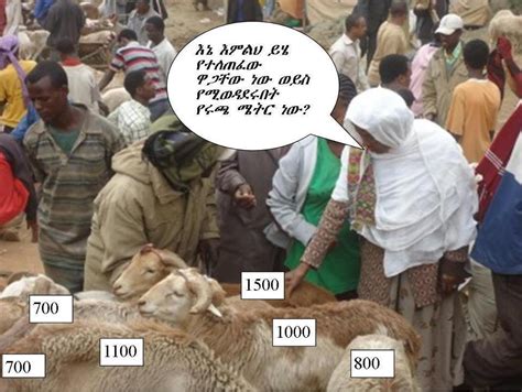 Funny Ethiopian Amharic Jokes አስቂኝ የአማርኛ ቀልዶች ቀልድ February 2012