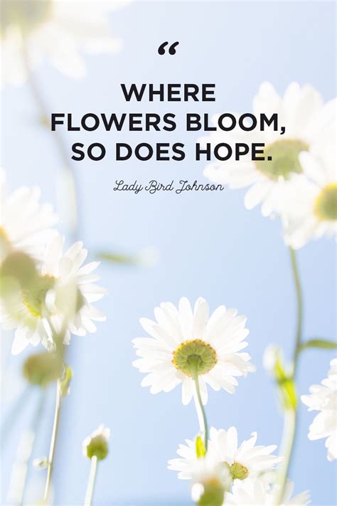 50 Best Flower Quotes To Inspire Growth Flower Quotes Inspirational