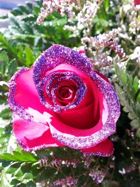 Glitter Rose Glitter Roses Rose Florist
