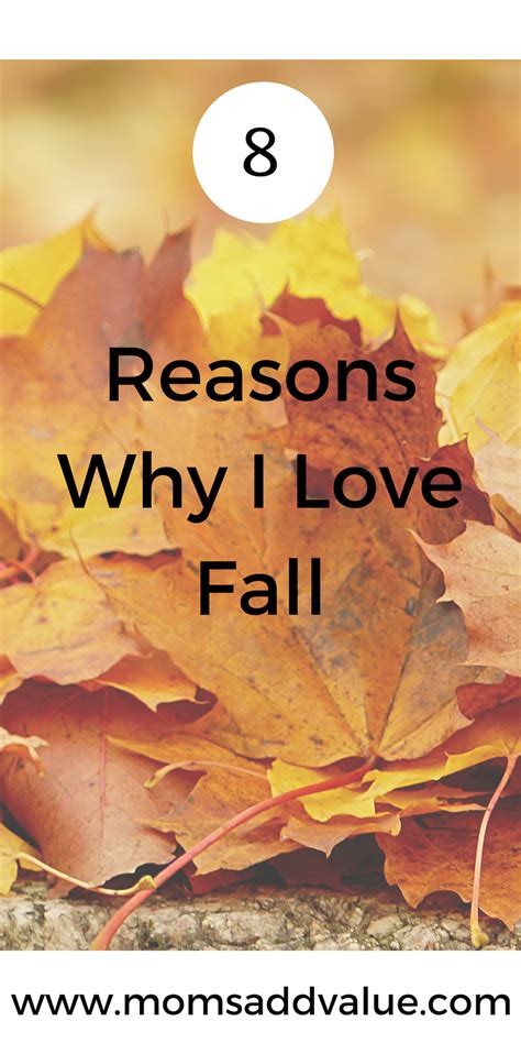8 reasons why i love fall moms add value my love falling in love love
