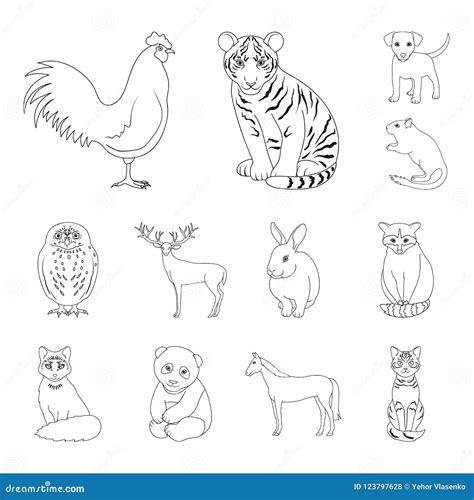 Realistic Animals Outline Icons In Set Collection For Design Wild And