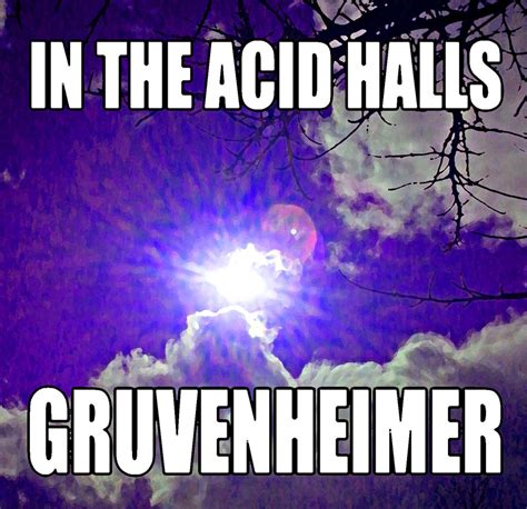 In The Acid Halls Gruvenheimer Free Download Borrow And Streaming Internet Archive