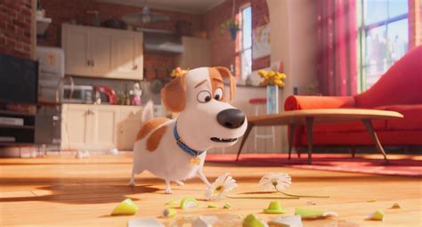 The Cat is Out of the Bag in New Trailer for Illumination's 'Secret Life of Pets' | Animation ...
