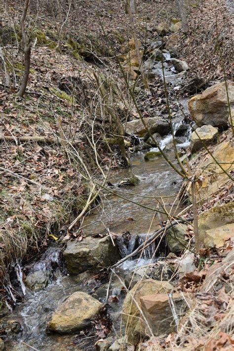 Rolling Streams Of Wv After Winter Run Off Stock Photo Image Of