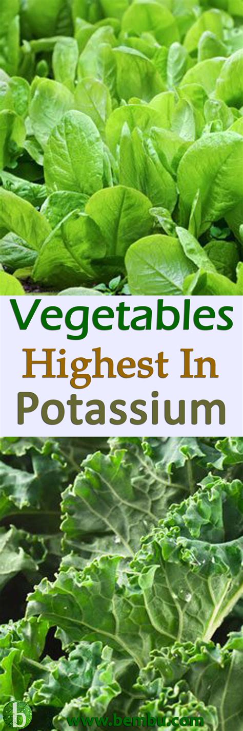 10 Vegetables Highest In Potassium Vegetables High Protein Recipes