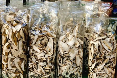 Pleurotes séchés comment sécher les champignons et préparer des plats