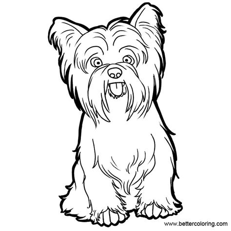 yorkshire terrier coloring pages png  file