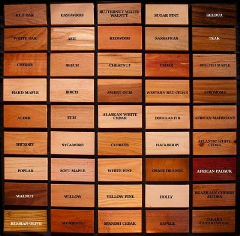 Wood Identification Chart Woodworking Pinterest Woods