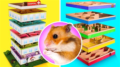 Coolest Diy Mazes For Your Hamster From Cardboard Youtube