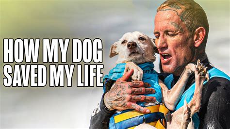 The Dogs Saved My Life A Story Of A Mans Best Friend Youtube