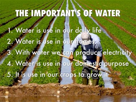 💌 The Importance Of Water In Our Daily Life Importance Of Water In Our