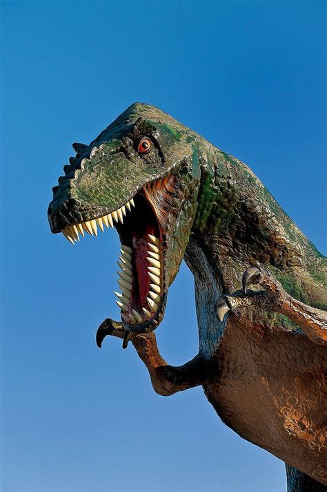 Replica Of A Dinosaur License Image 70336539 Lookphotos