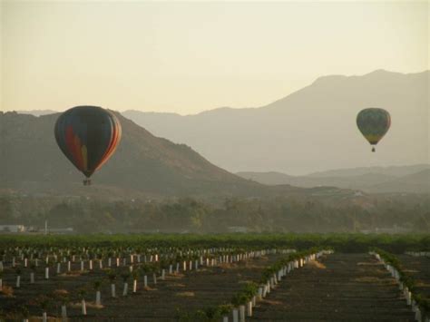 Hot Air Balloons Rising Of Temecula Valley Wine Country California