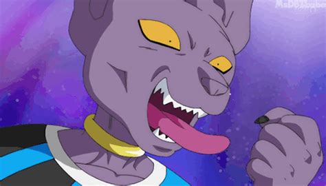 I decided to make a beerus gif, mostly because you can make a few jokes about it. 13 Beerus (Dragon Ball) Gifs - Gif Abyss