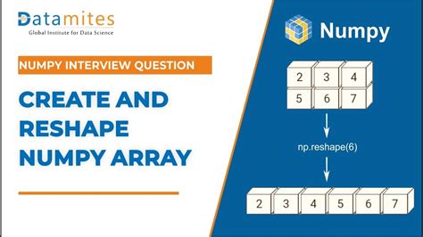 Reshaping And Create New Numpy Array Python Numpy Tutorial YouTube