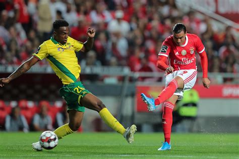 We did not find results for: A PAIXÃO O FUTEBOL VISEU: BENFICA - 5 P. FERREIRA - 0 ...