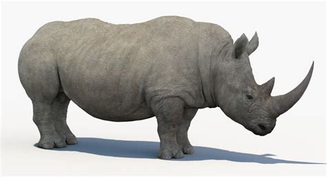 I3dconverter For Rhino 3d Whatistews