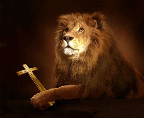 Lion Of Judah With Cross Photograph By Sandi Oreilly