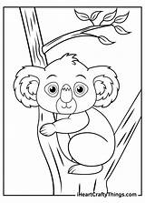 Koala Koalas Iheartcraftythings sketch template