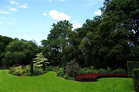 Trees are an important part of every community. Free Images : tree, grass, structure, lawn, meadow, flower ...