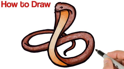 Cobra Snake Drawing Easy Drawings Dibujos Faciles Dessins Faciles