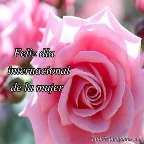 Orgullosa de ser mujer ¡feliz día de la mujer trabajadora!. Buen dia mujer hermosa - Imagui