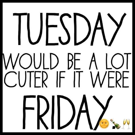 #MOLDIV | Good morning funny, Tuesday pictures, Hello tuesday