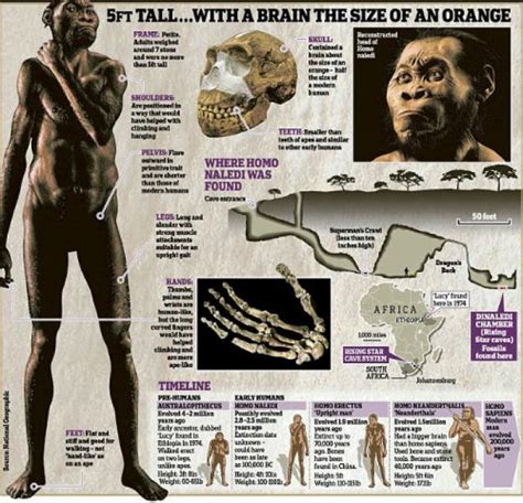 All Hail Homo Naledi The New Species Of Humanity Discovered In South Africa Africa