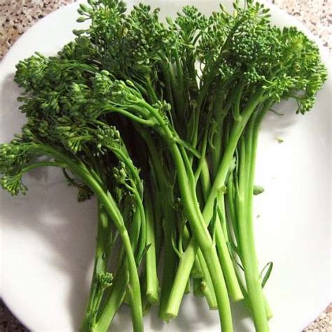 How To Grow Broccolini Gardening Channel