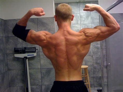 This is my video about the muscles of the back. 65 best Male Ref images on Pinterest | Human anatomy, Anatomy reference and Bodybuilding