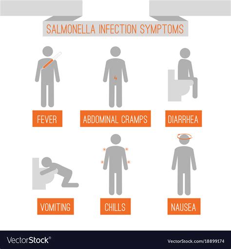 Salmonella Symptoms