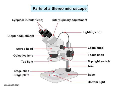 Label The Parts Of The Microscope