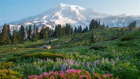 Free Download Wallpapers Usa Mount Rainier National Park