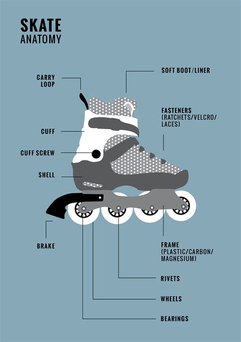 Illustrated Anatomy Of An Inline Skate On Behance