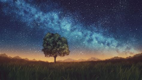 Wallpaper Lawn Tree Night Starry Sky Dark Hd Picture