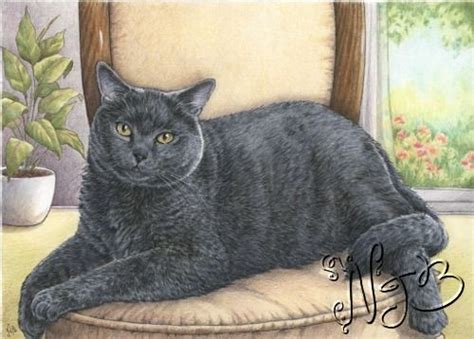 Pin By K Harp On Art Cats Cat Painting Cats And Kittens Cat Art
