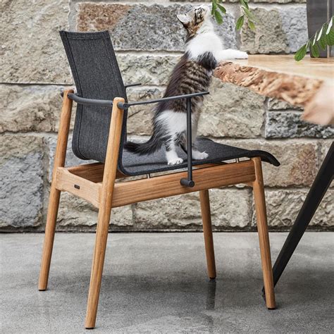 Teak patio dining chairs at chic teak. Buy Sway Teak Stacking Chairs with Arms by Gloster — The Worm that Turned - revitalising your ...