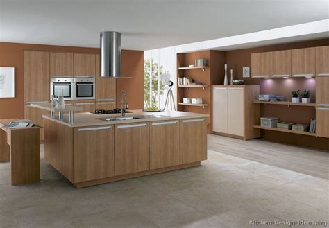 This kitchen has a modern elegance! Modern Light Wood Kitchen Cabinets - Pictures & Design Ideas