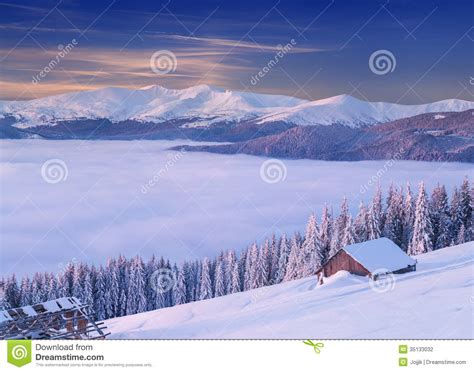 Colorful Winter Morning In The Carpathian Mountains Stock Photo Image
