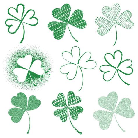 Three Leaf Clover Drawings Illustrations Royalty Free Vector Graphics