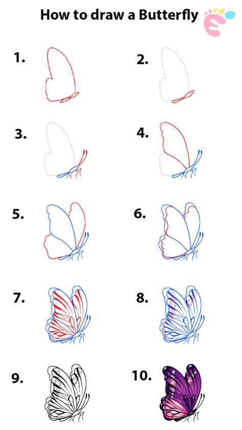 How To Draw A Butterfly Step By Step For Beginners