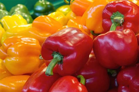 Bell Pepper Benefits How Healthy Are They Pepperscale
