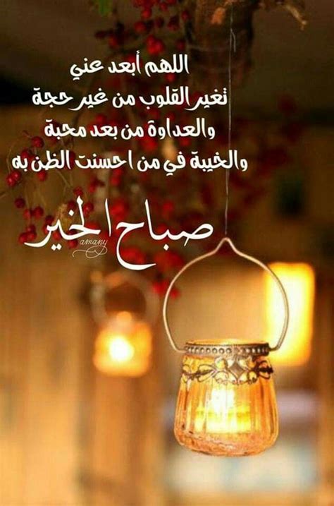 🍃🕊 آمين يارب العالمين 🌺🍃 | Good morning arabic, Good ...