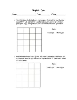 Punnett square practice problems | science primer directions: Dihybrid Punnett Square Quiz by Goby's Lessons | TpT