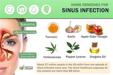Best Treatment For Sinus Infection