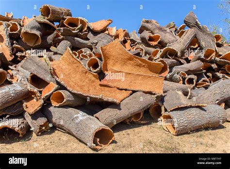 Cork Bark Pile Hi Res Stock Photography And Images Alamy