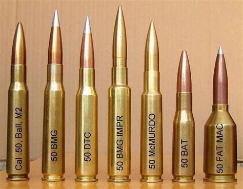 Beowulf 50 Cal Never Knew There Were So Many 50 Cal Rounds 5790