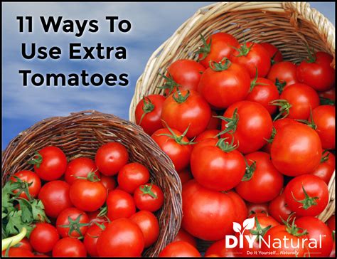 Tomatoes Here Are 10 Unusual Ways To Use Your Extra Tomatoes