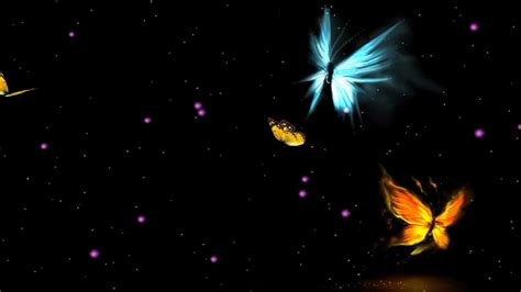 fantastic butterfly animated wallpaper youtube