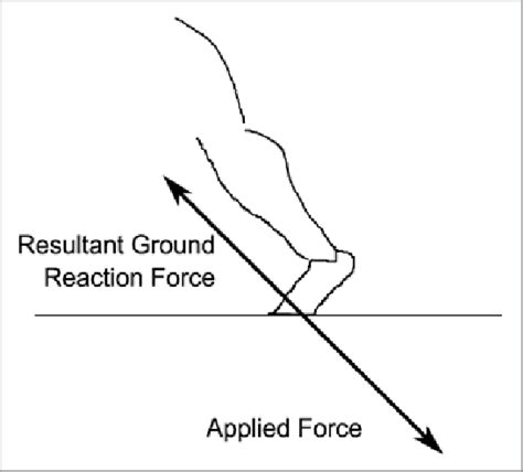 Example Of Ground Reaction Force Download Scientific Diagram
